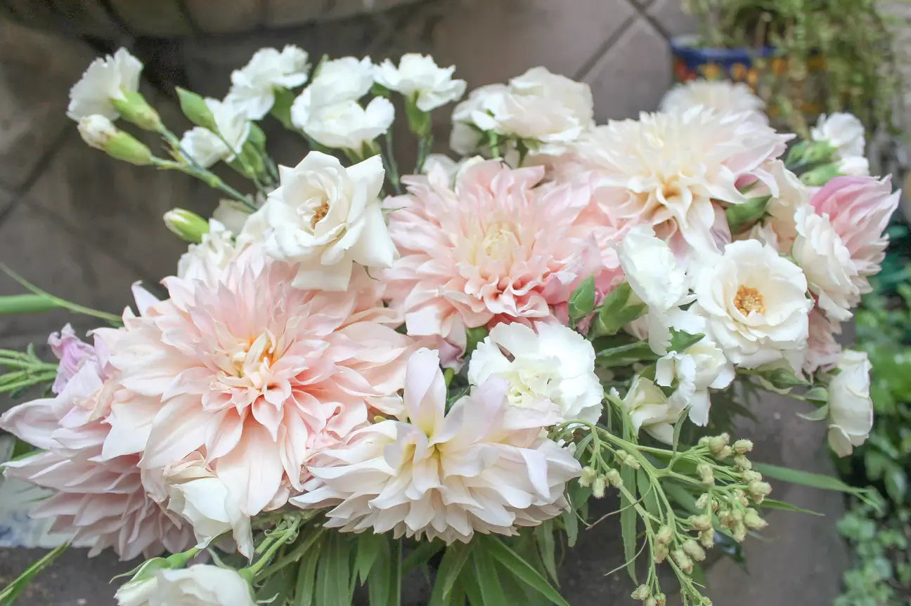 White and pink flowers with green stems